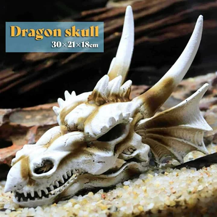 【楽天市場】【期間限定DEALポイントバック15％】【普通郵便発送】 風水 龍神 -輝煌龍渦- 置物 ゴールド シルバー 干支 辰 福 龍 竜 十二支 縁起物 おしゃれ かっこいい 趣 ギフト インテリア オブジェ キラキラ プレゼント 飾り 雑貨 お守り アイテム パワースポット 開運 金運：futurshop