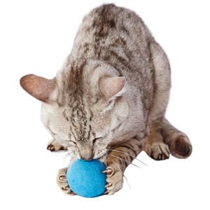 ペティオ 猫用おもちゃ 大好きブルーの大きなウールボール | 激安の新品・型落ち・アウトレット 家電 通販 XPRICE - エクスプライス (旧 PREMOA - プレモア)
